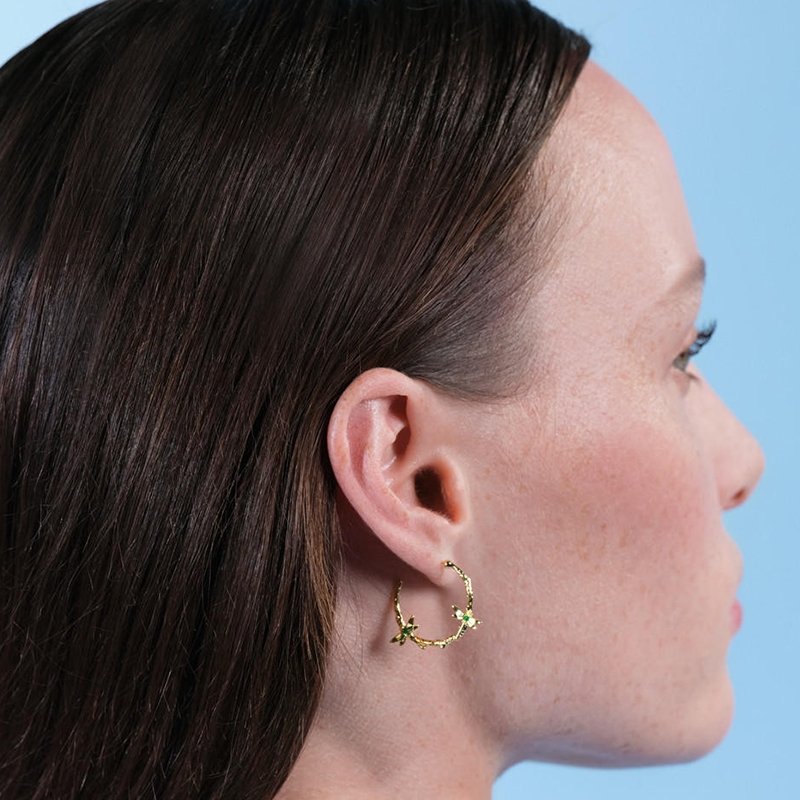 2 Dragonfly Hoop Earrings | ARAM1051 - Les Nereides