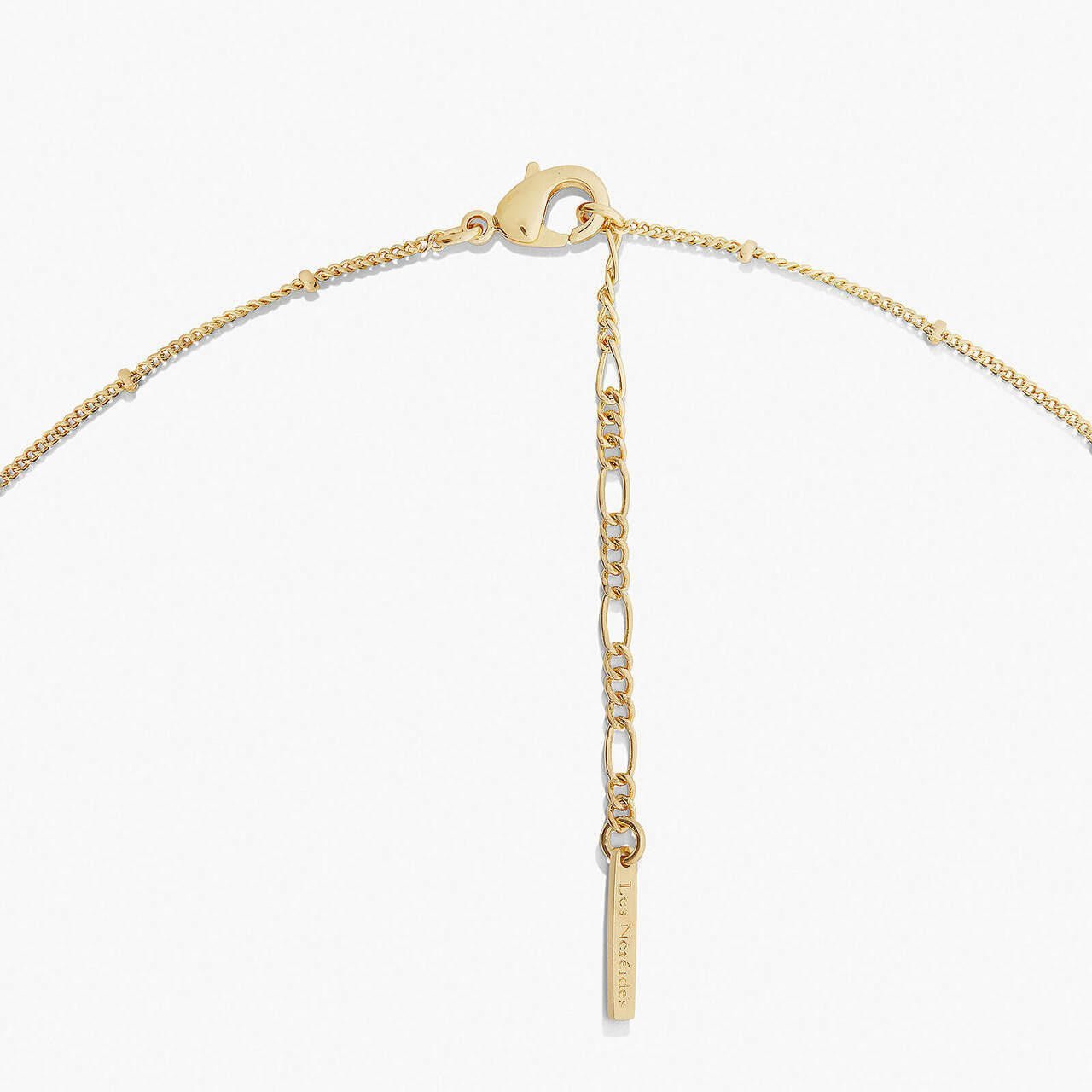 Casse Noisette Necklace | AOCN3021 - Les Nereides