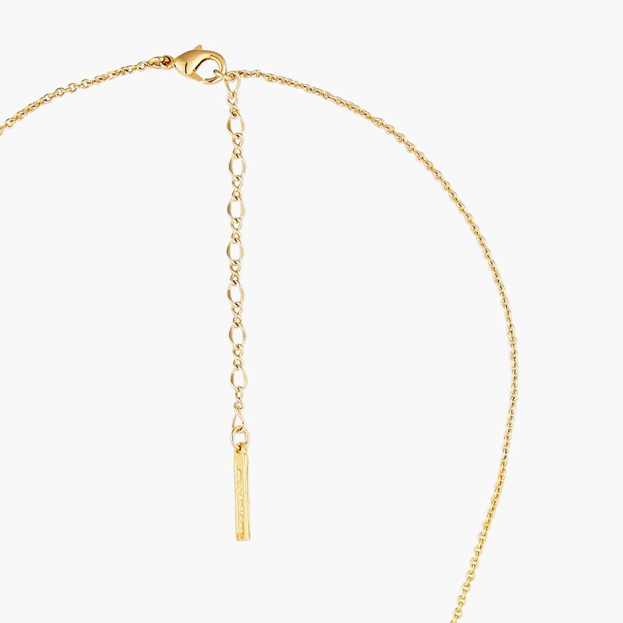 Duo Of Cockatiel And Rosebuds Statement Necklace | AOLA3011 - Les Nereides