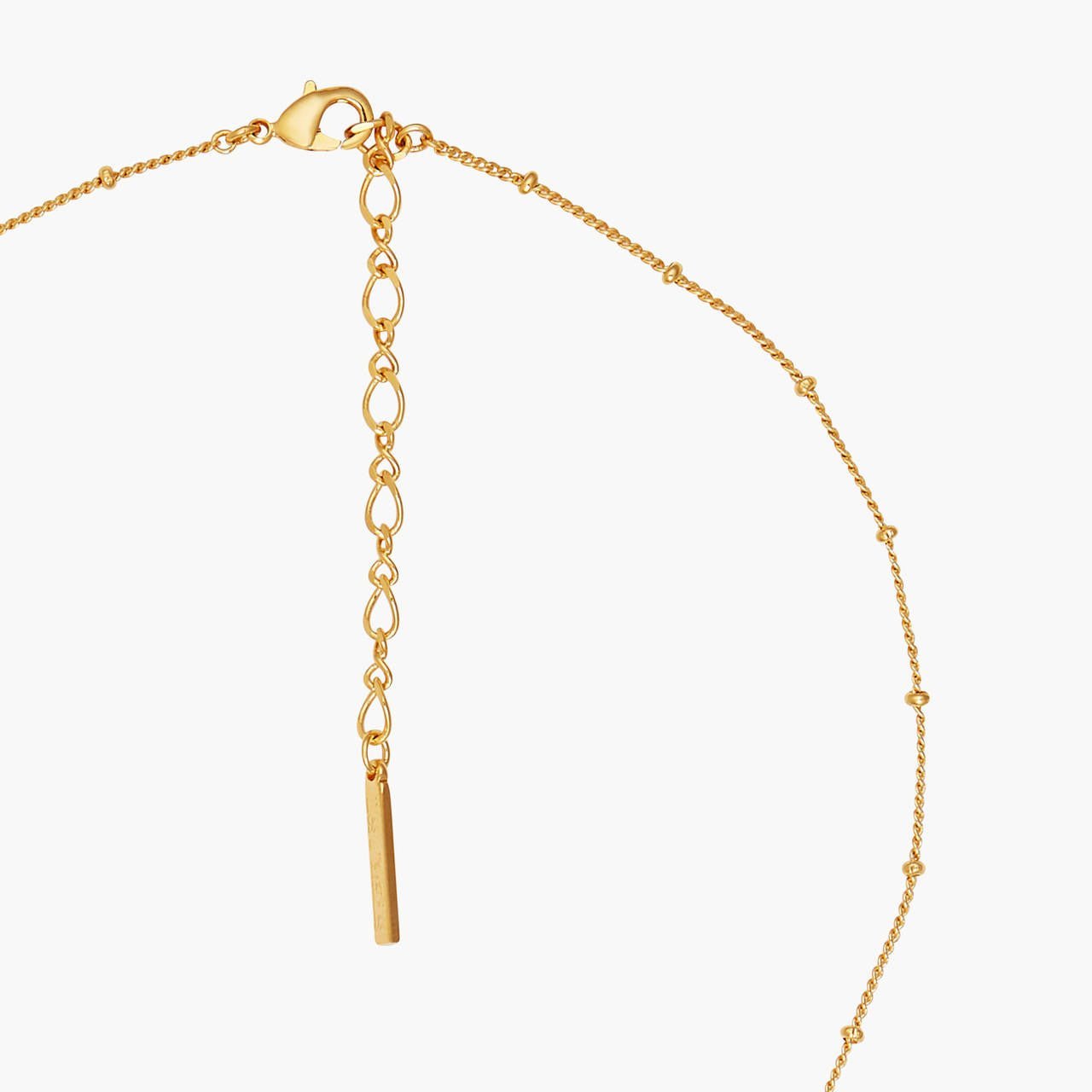 Euglossine Bee Pendant Necklace | AOOC3111 - Les Nereides
