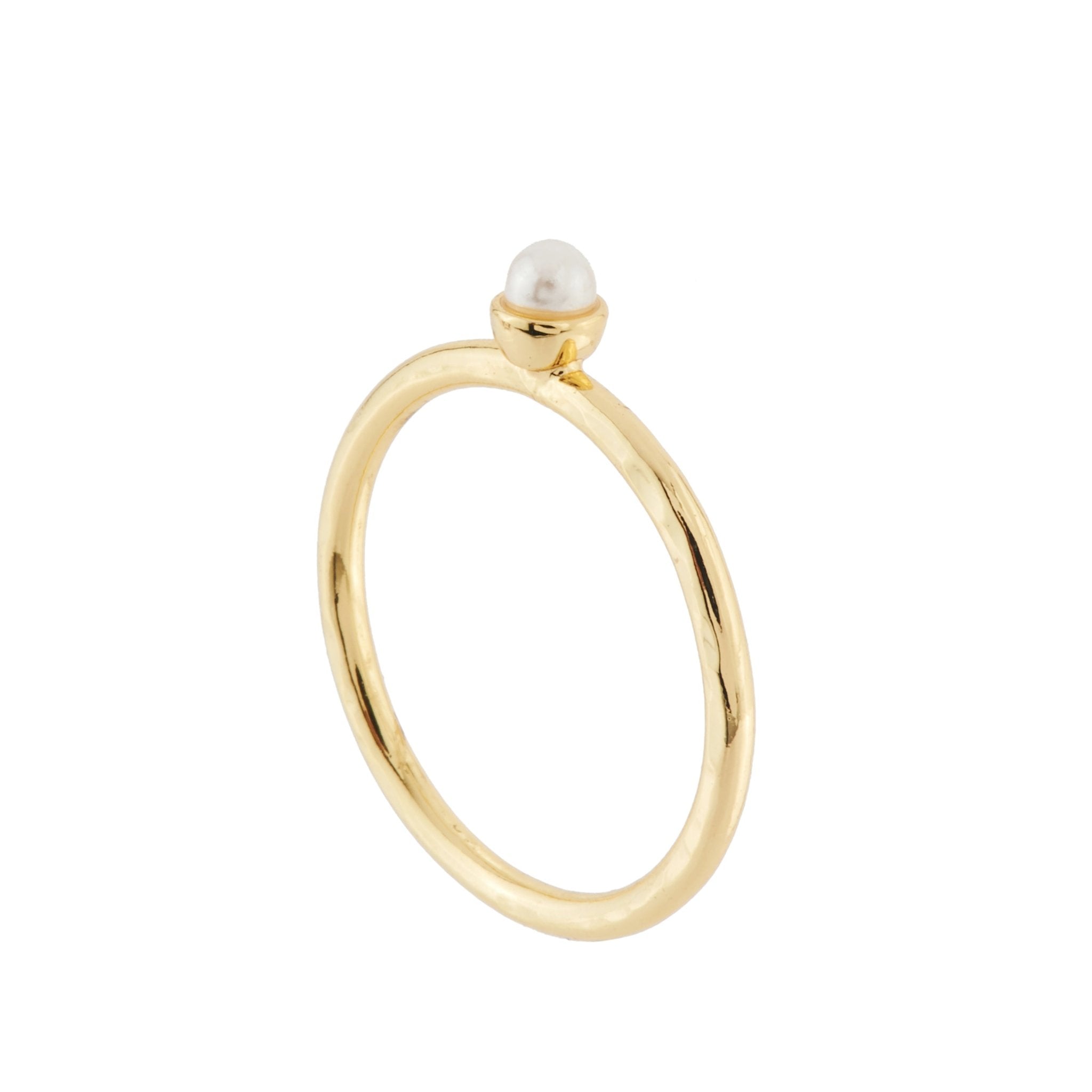 Exoplanète 50 Rings | AHEP6041 - Les Nereides