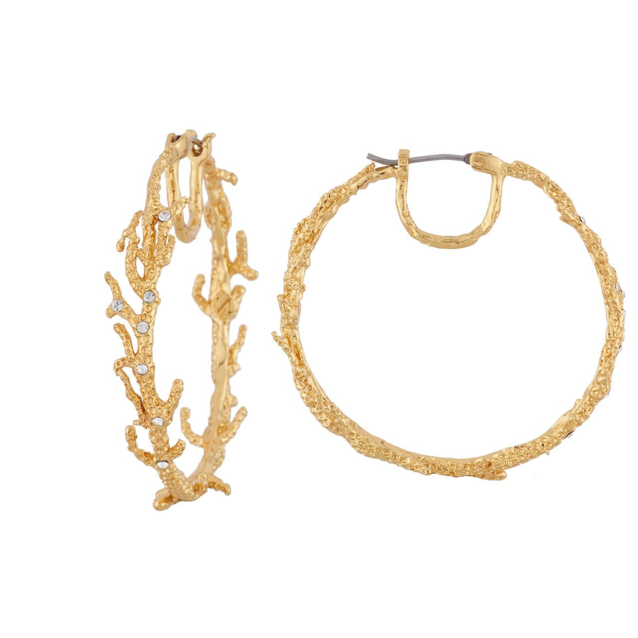 Hoop Nature Flamboyante Earrings | AINF1051 - Les Nereides