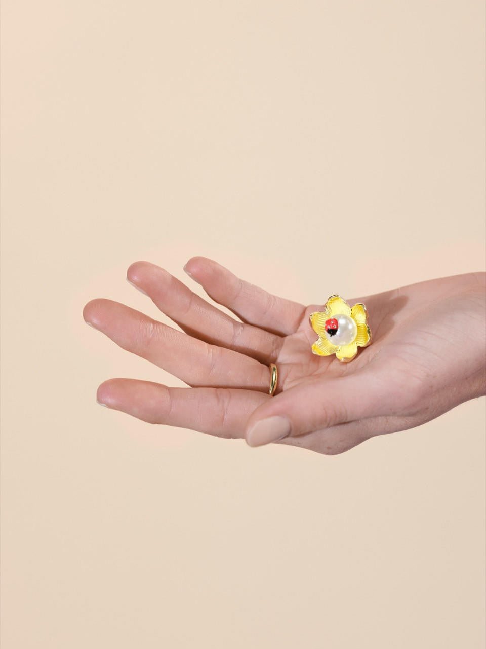 Ladybird And Wood Anemone Brooch | ARLP5011 - Les Nereides
