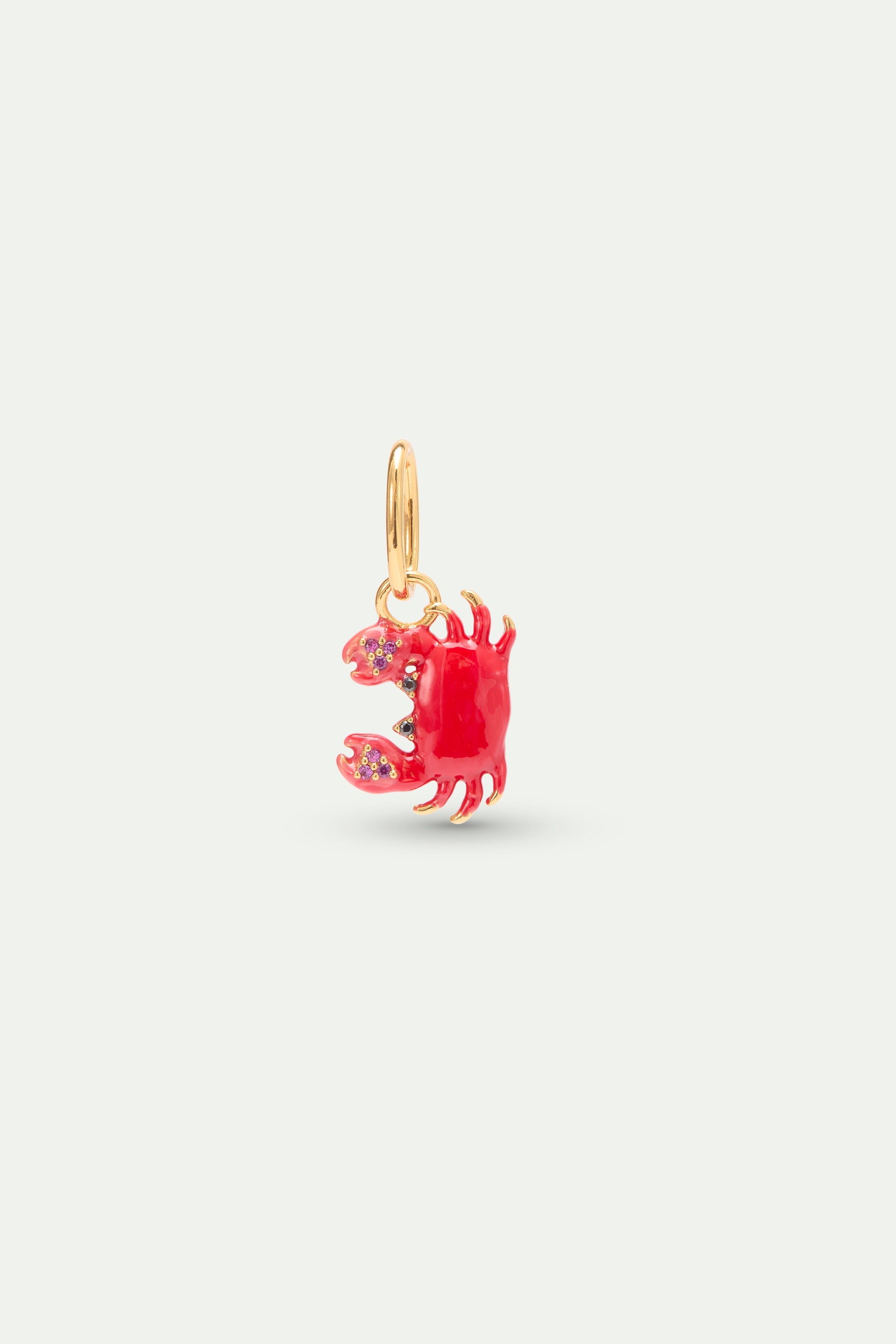 Red Crab and Crystal Pendant: Protection and Change | AYPE4061