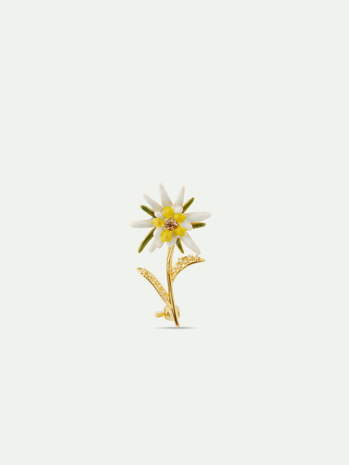 Edelweiss Flower Brooch | AULA5011 - Les Nereides