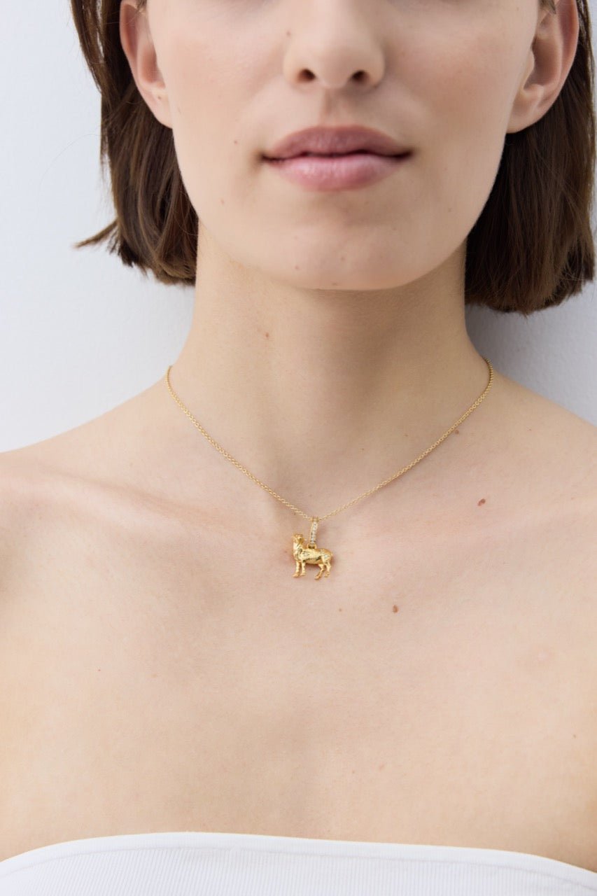 Fine Link Chain Necklace | AYPE3011 - Les Nereides