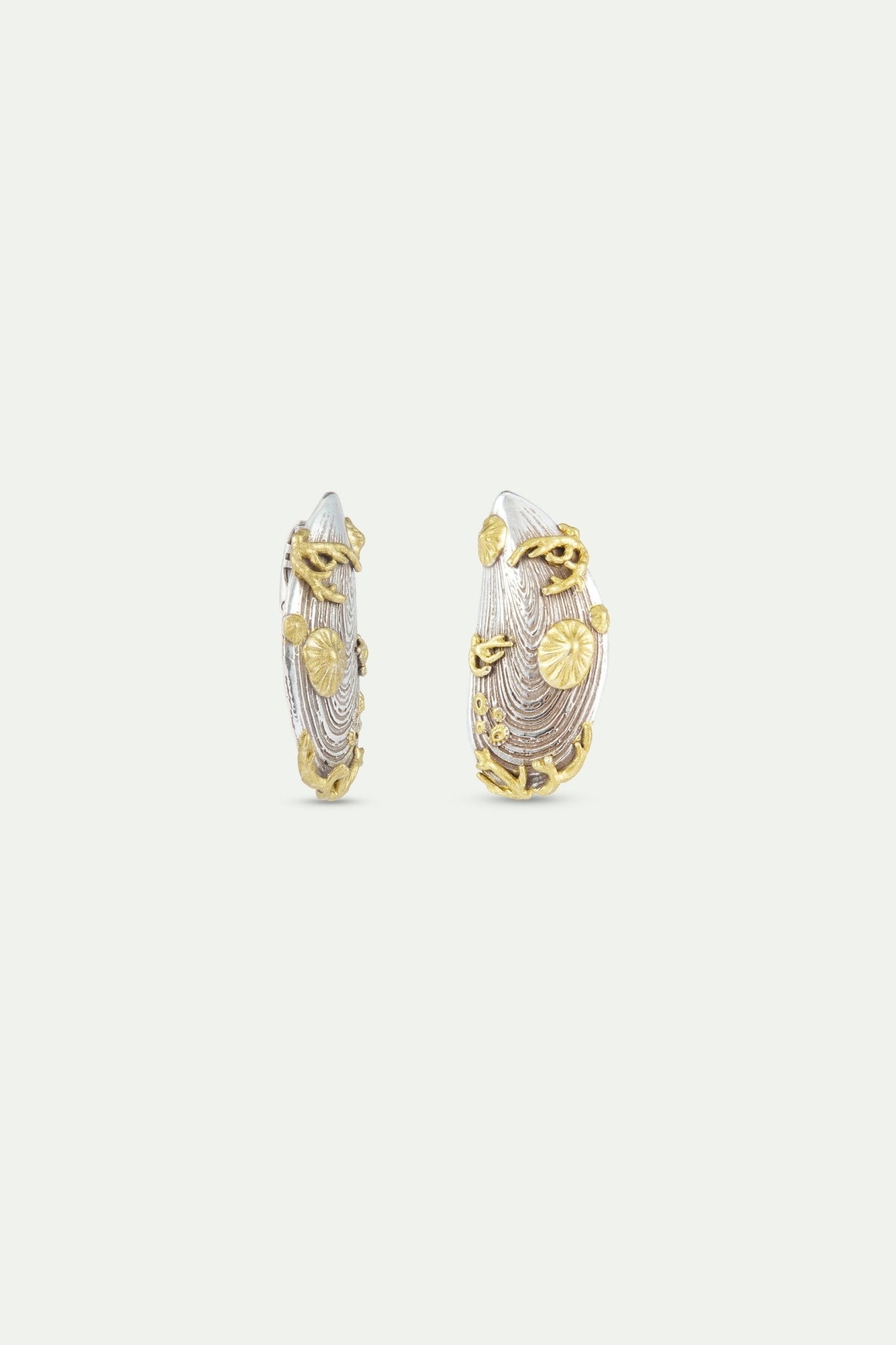 Silver And Gold Mussel Earrings | AXMO1061 - Les Nereides