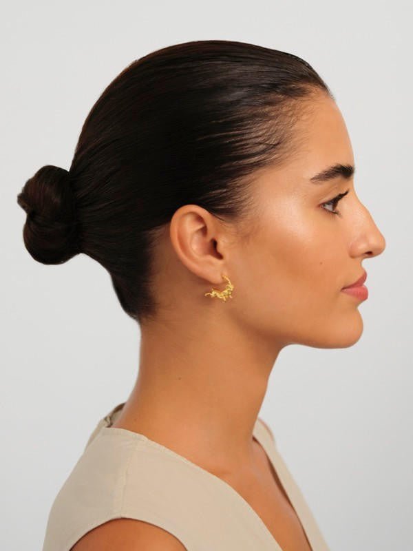 Aries Astrological Sign Hoop Earrings | APPV1011 - Les Nereides