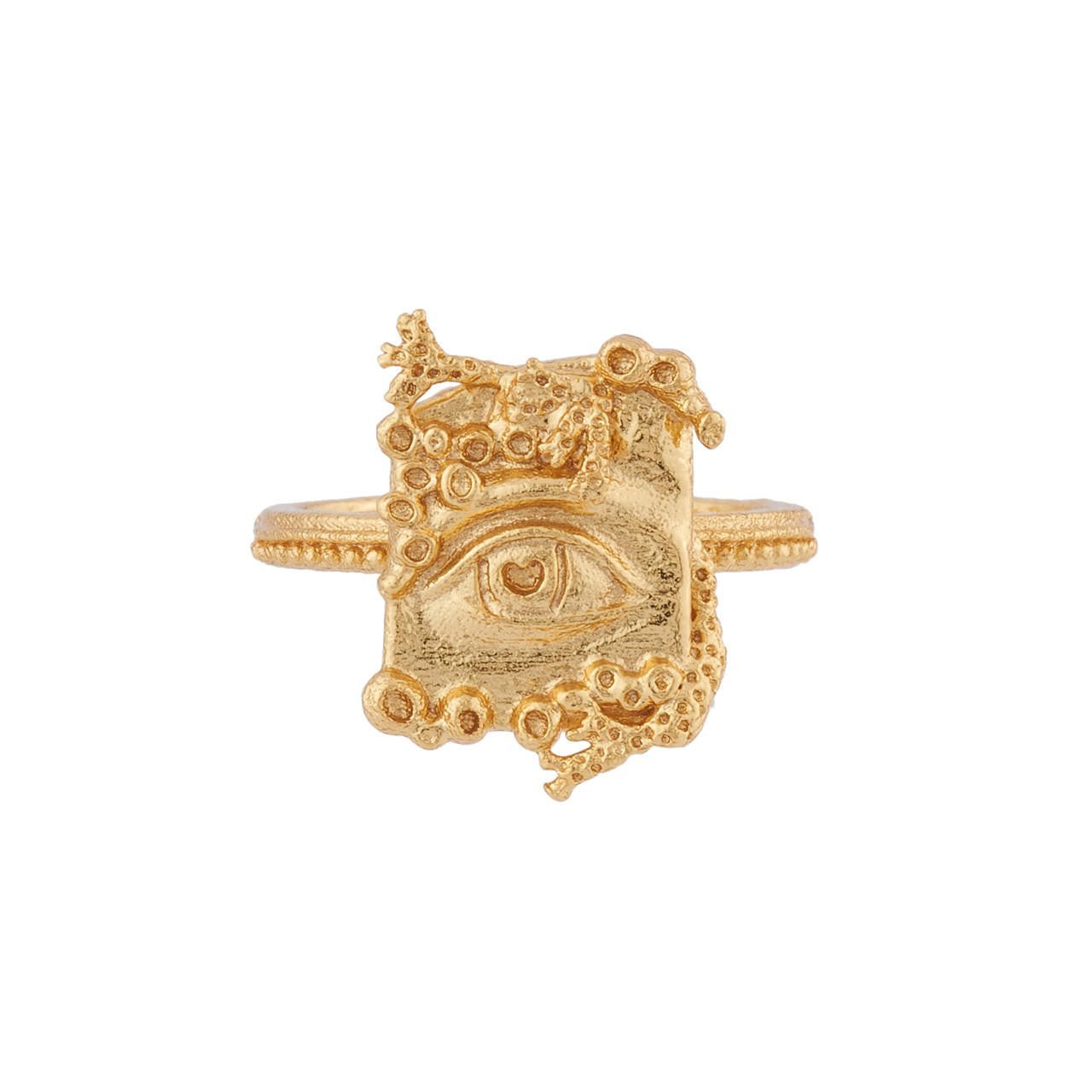Cité Enfoui Rings | AICE601/11 - Les Nereides