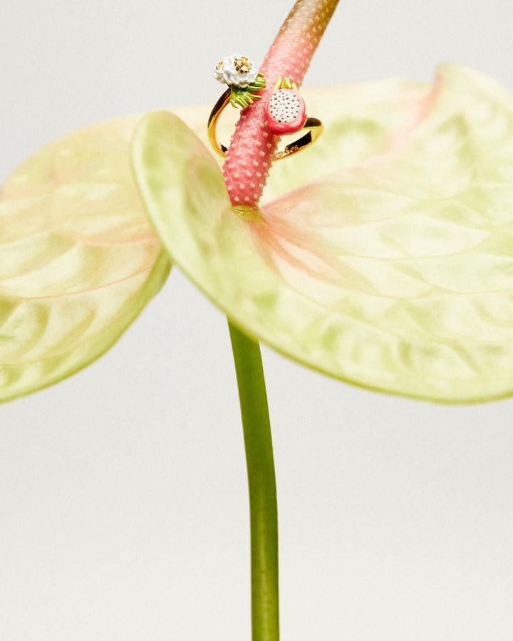 Dragon Fruit And Pitaya Flower You And Me Adjustable Ring | ARPA6031 - Les Nereides