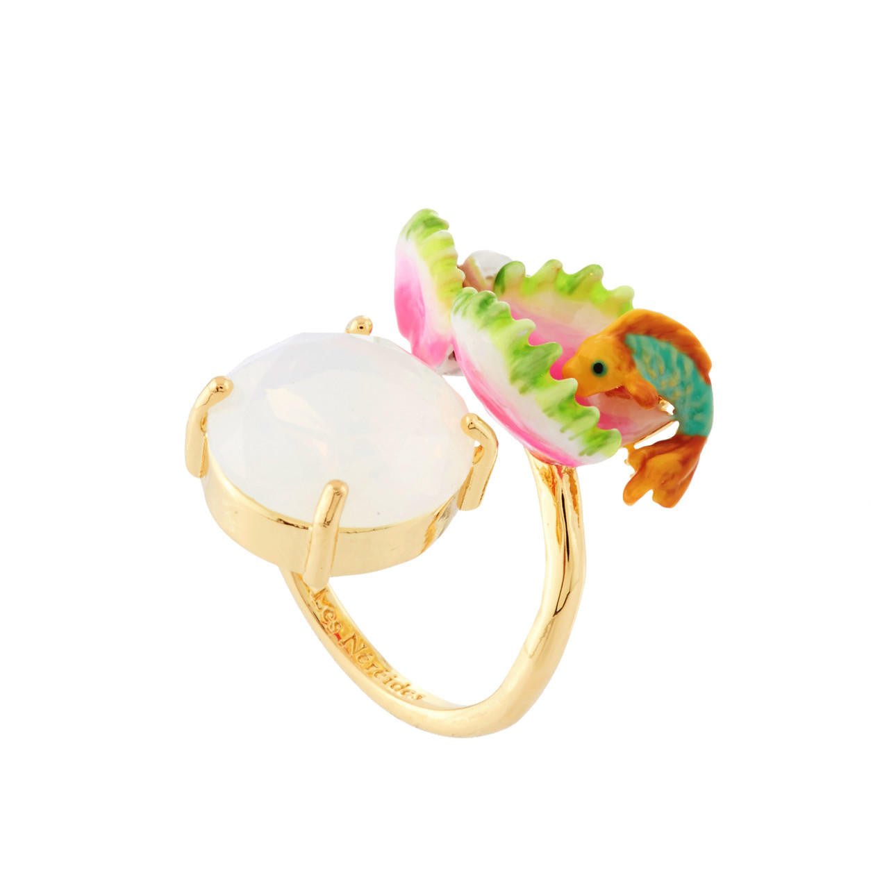 Fish, Sea Anemone And White Stone Exoplanète Rings | AHEP6061 - Les Nereides