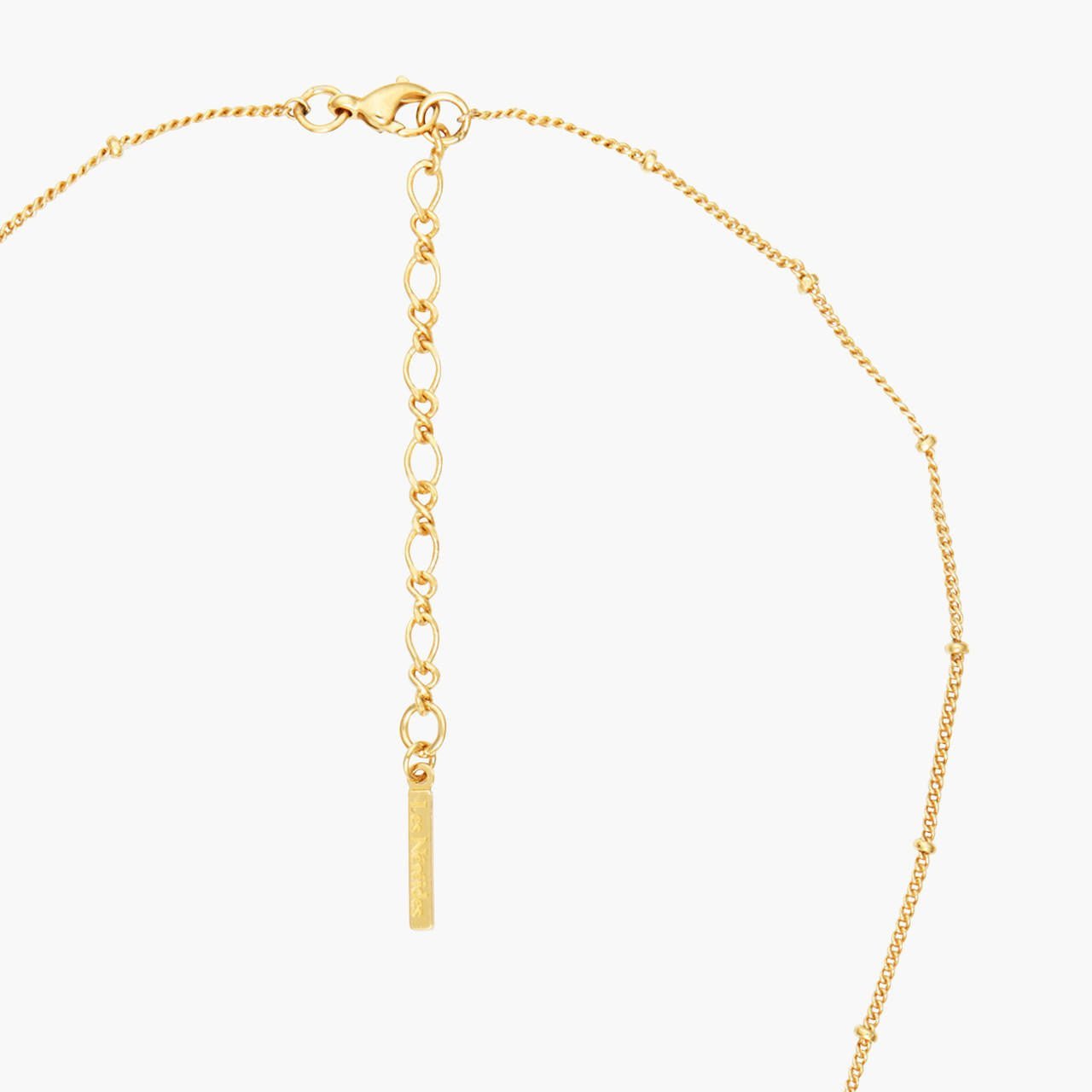 Forget - Me - Not Rosebuds And Ladybird Statement Necklace | ANBM3011 - Les Nereides