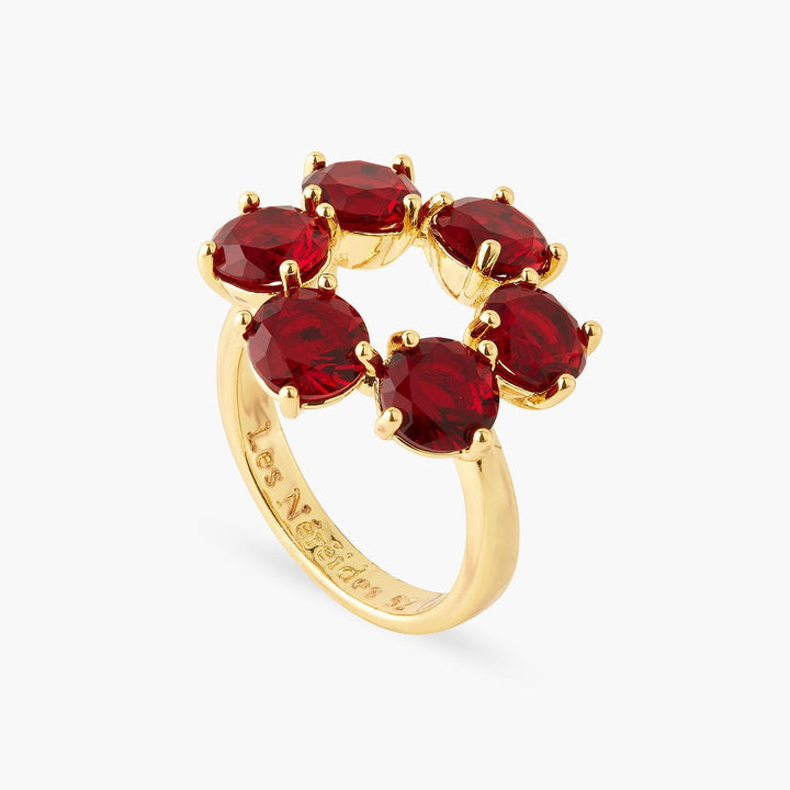 Garnet Red 6 Stone Fine Ring | AQLD6191 - Les Nereides