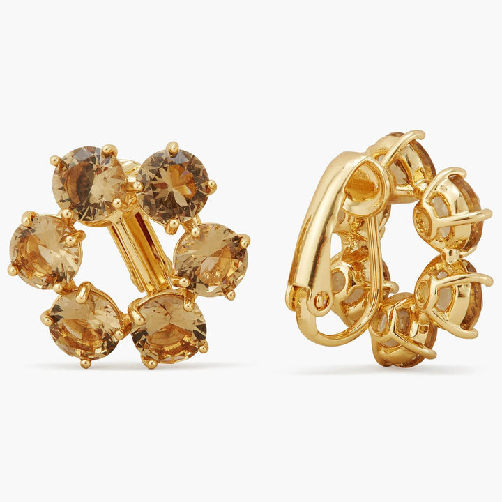 Golden Brown Diamantine 6 Stones Earrings | APLD1421 - Les Nereides