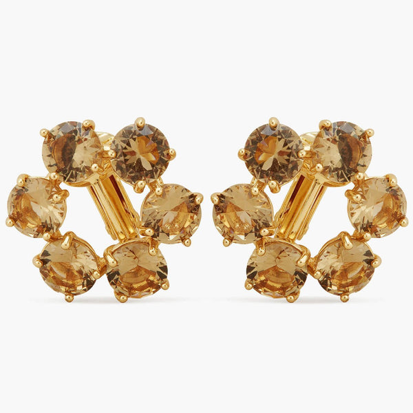 Golden Brown Diamantine 6 Stones Earrings | APLD1421 - Les Nereides