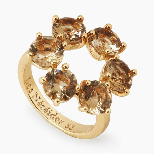 Golden Brown Diamantine 6 Stones Fine Ring | APLD6191 - Les Nereides