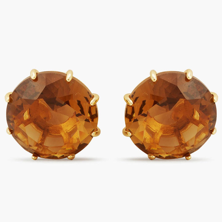 Golden Brown Diamantine Round Sleeper Earrings | APLD1401 - Les Nereides