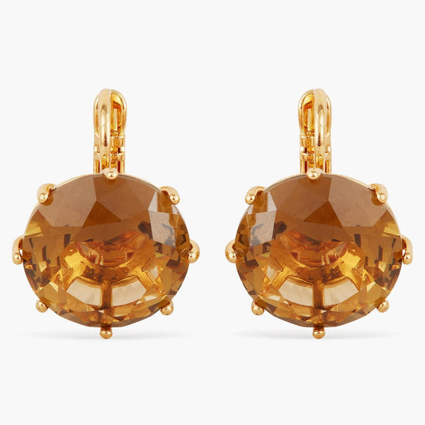 Golden Brown Diamantine Round Sleeper Earrings | APLD1401 - Les Nereides