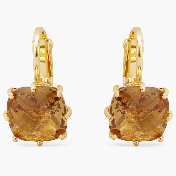Golden Brown Diamantine Square Stone Earrings | APLD1011 - Les Nereides
