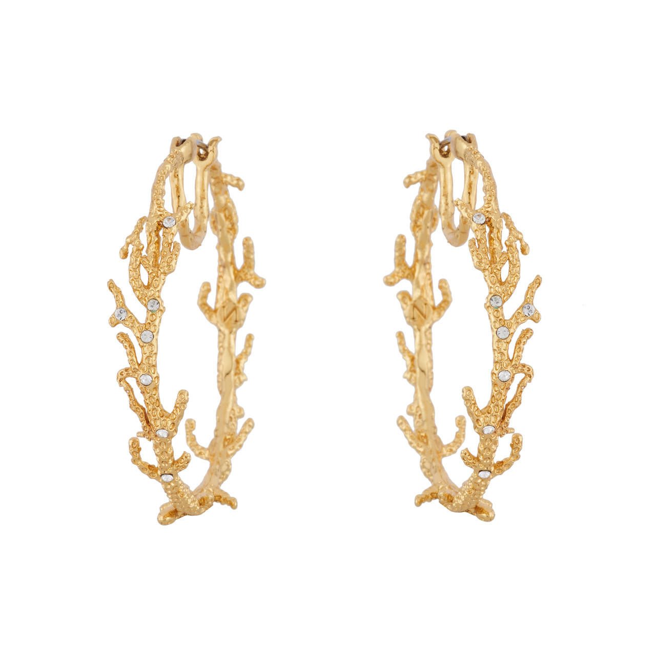 Hoop Nature Flamboyante Earrings | AINF1051 - Les Nereides