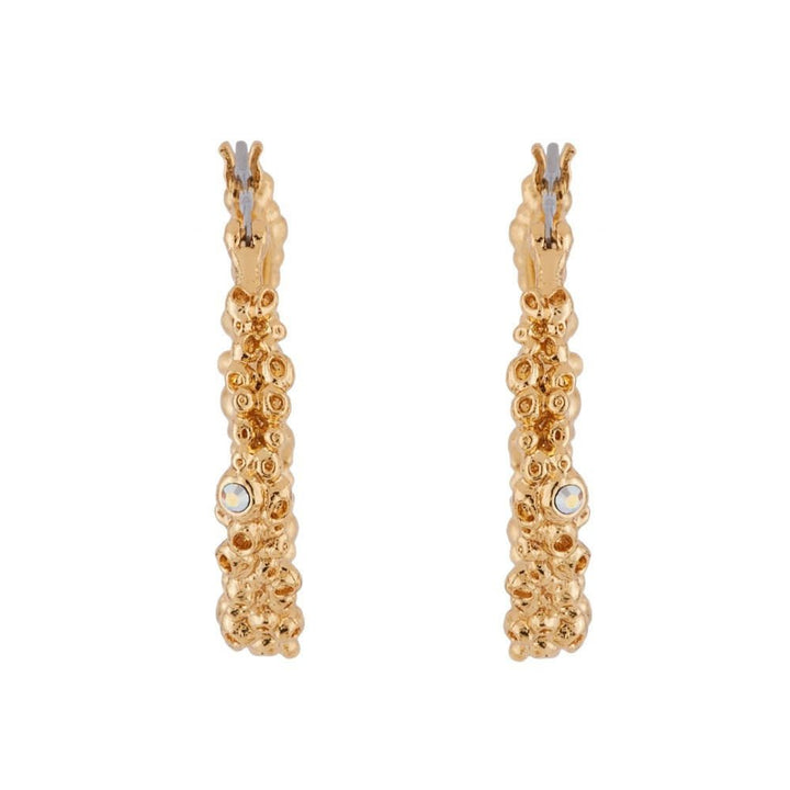 Hoop Veine de Cristal Earrings | AGVE1061 - Les Nereides