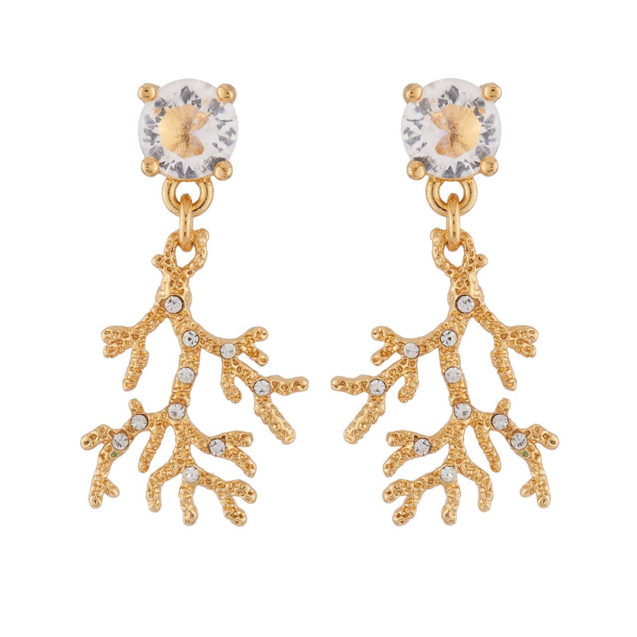 Nature Flamboyante Earrings | AINF1061 - Les Nereides
