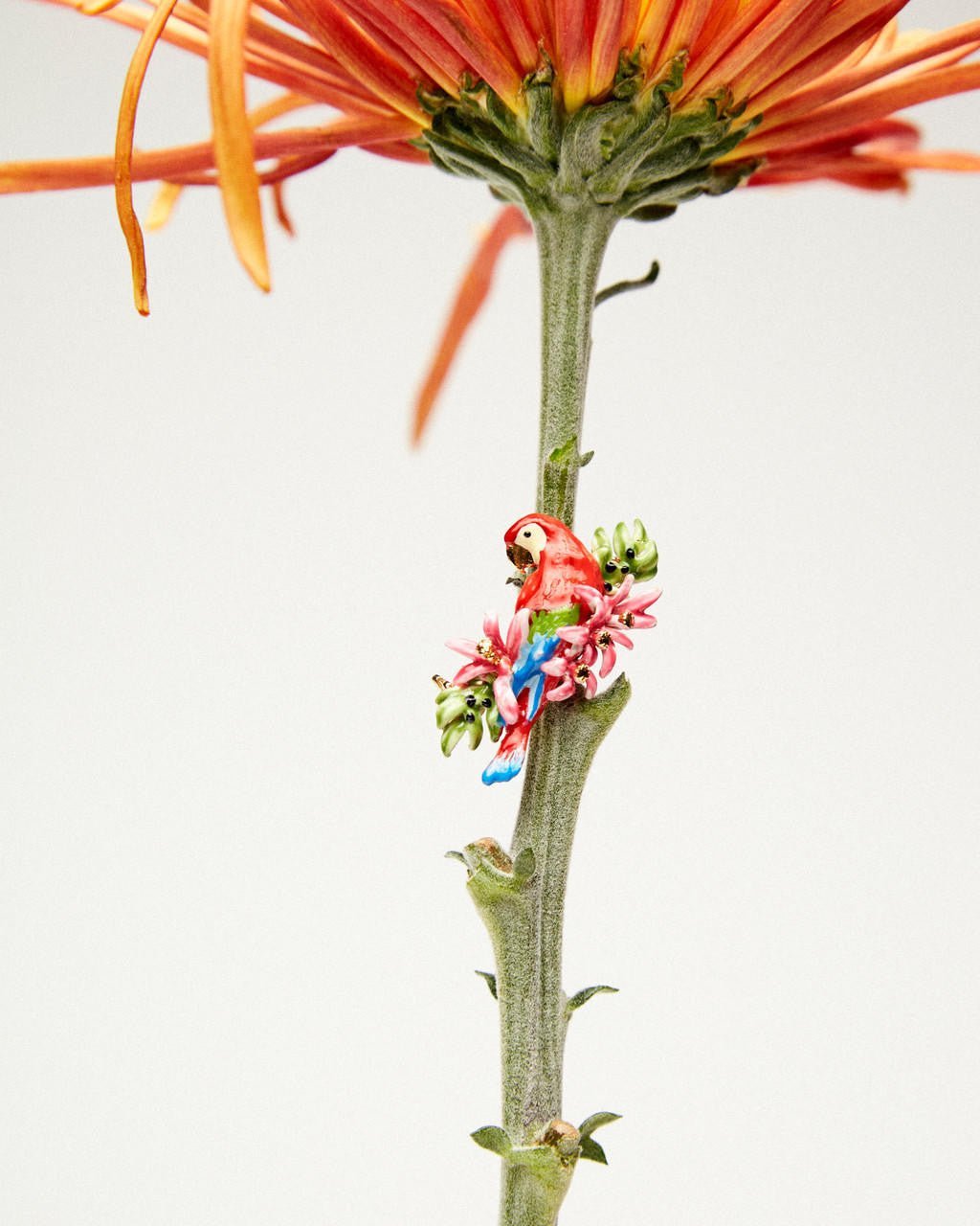 Parrot And Wild Flower Brooch | ARPA5011 - Les Nereides