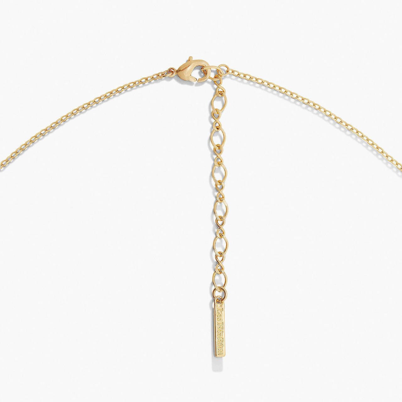 Raspberry And Flower Pendant Necklace | APVE3051 - Les Nereides