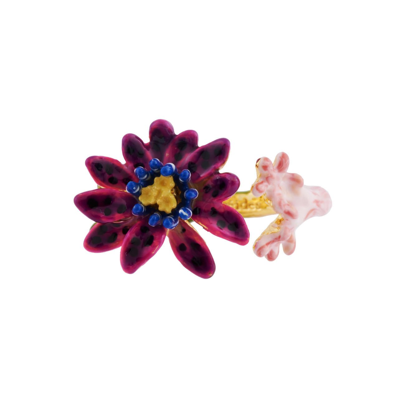 Sea Anemone Exoplanète Rings | AHEP6031 - Les Nereides