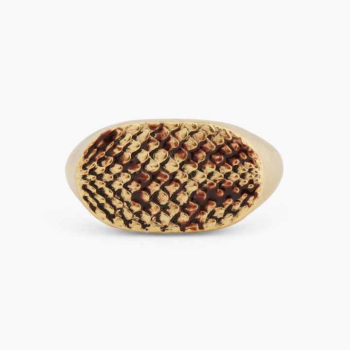 Snakeskin Signet Ring | ASNI6031 - Les Nereides