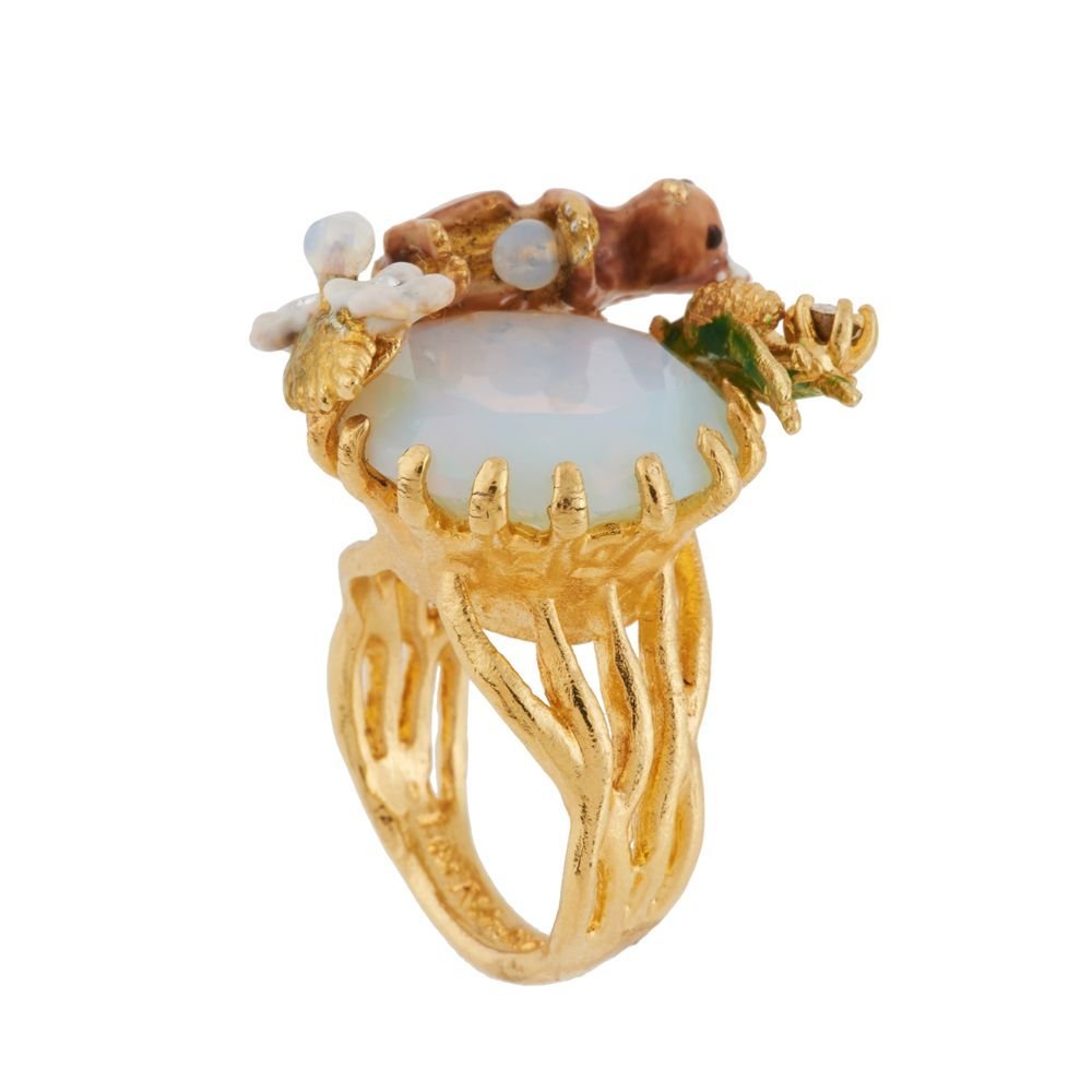 Squirrel In Winter Forest With White Stone 50 Rings | AGSF605/21 - Les Nereides