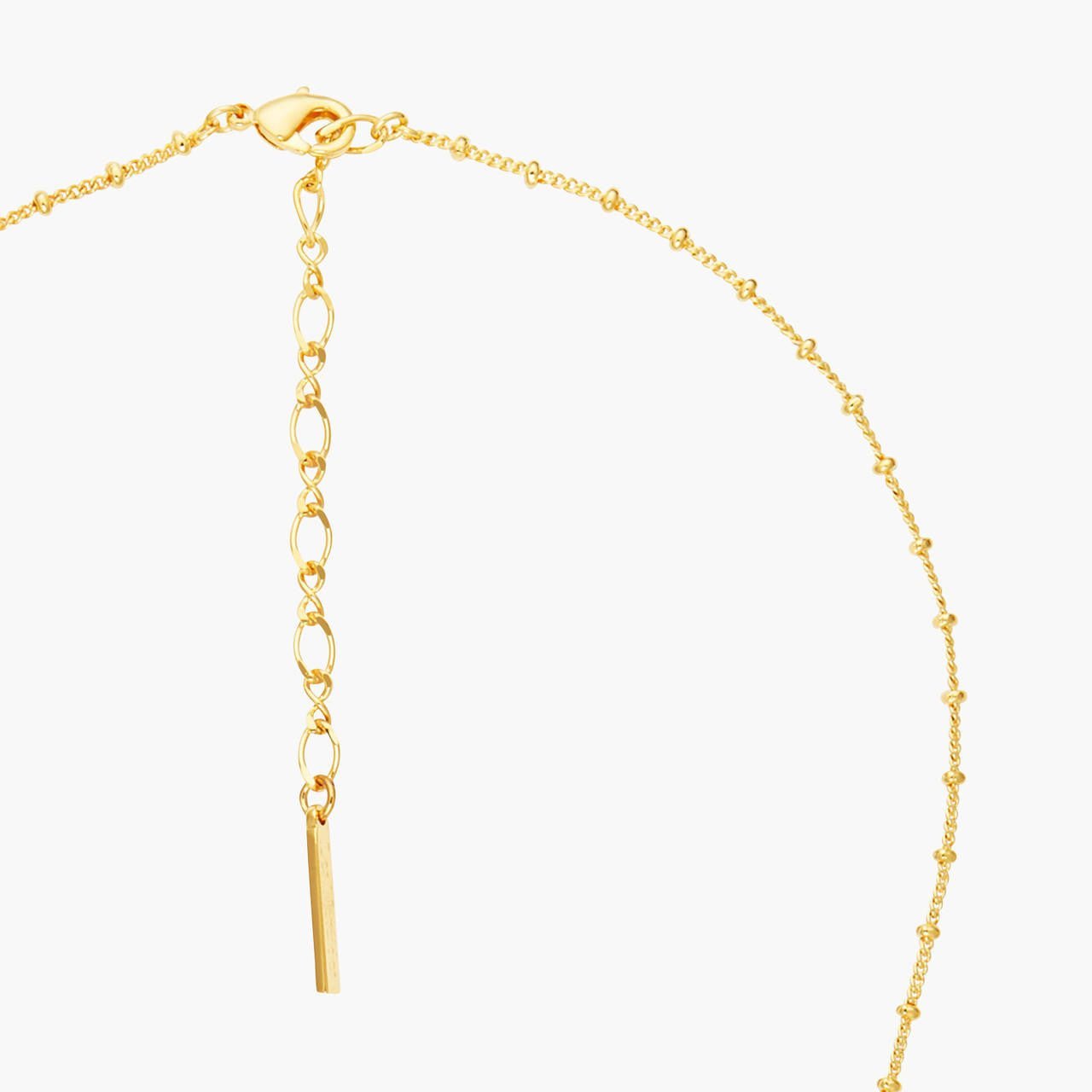 Terinos Butterfly And Flower Petals Thin Necklace | ANHA3071 - Les Nereides